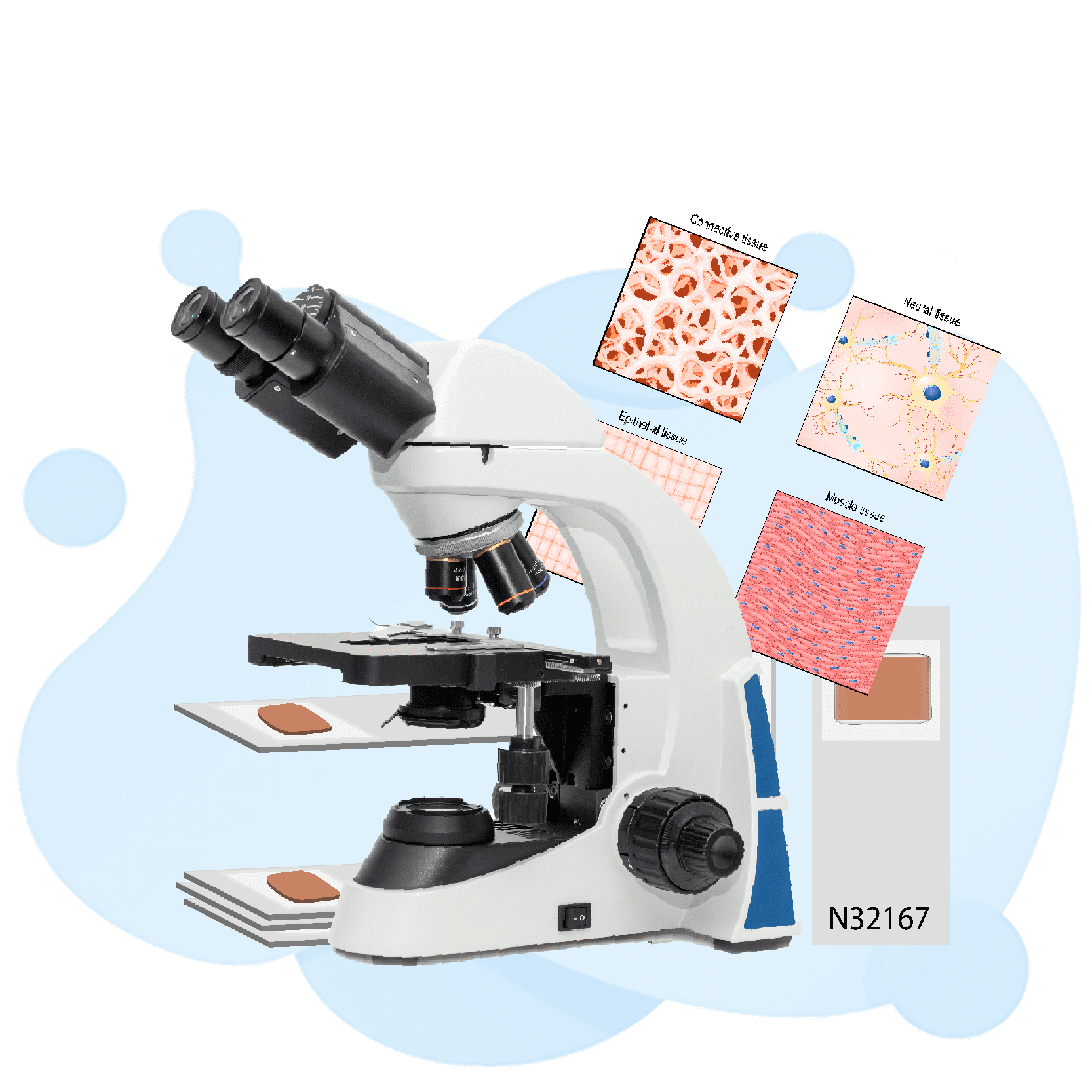 ASCP Histotechnician Test Practice Test Geeks