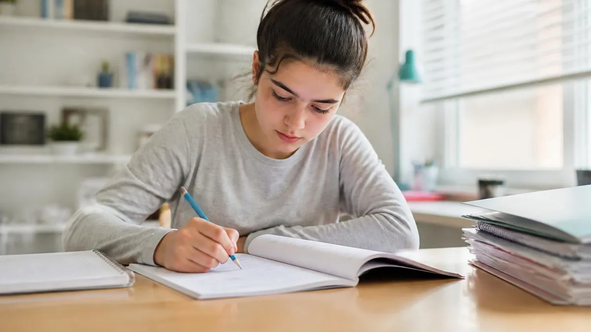 Algebra 1 Practice Test - Algebra Test certification study resource