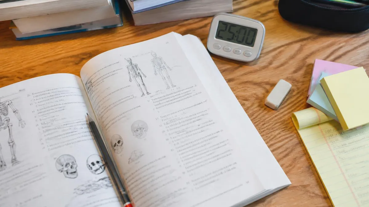 Abdomen Anatomy and Physiology - Anatomy and Physiology certification study resource