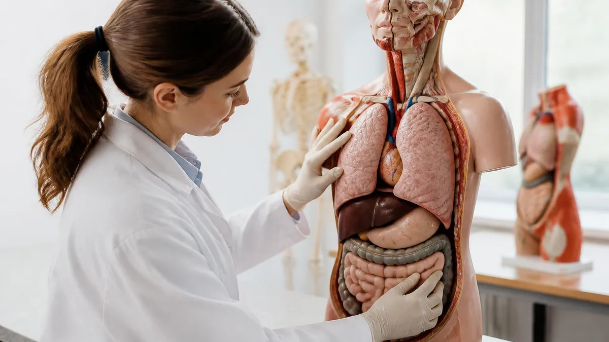 Anatomy and Physiology Courses - Anatomy and Physiology certification study resource