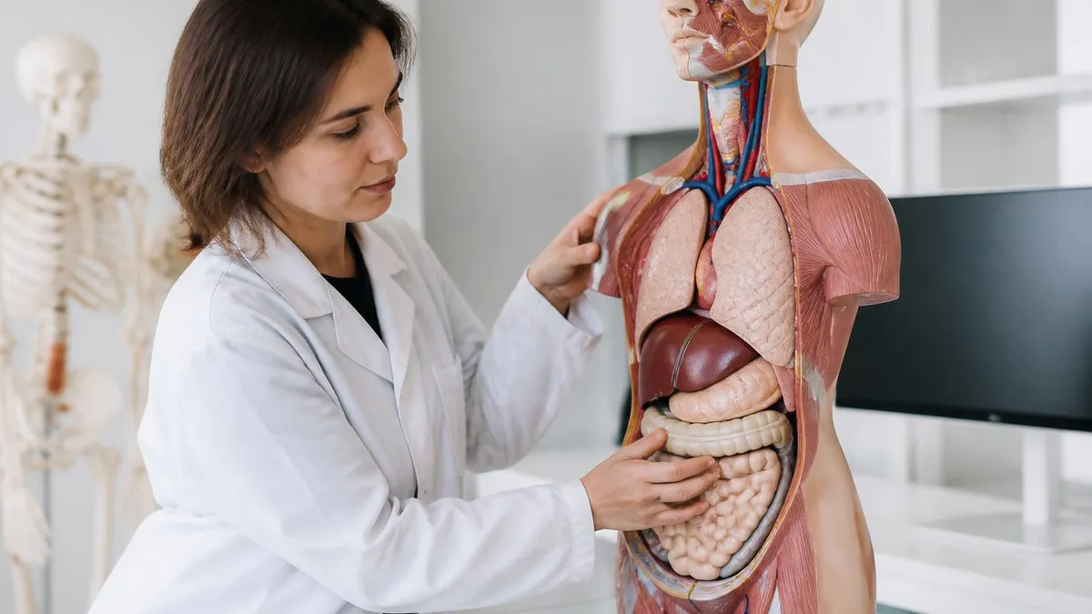 Essential Anatomy and Physiology Study Checklist - Anatomy and Physiology certification study resource