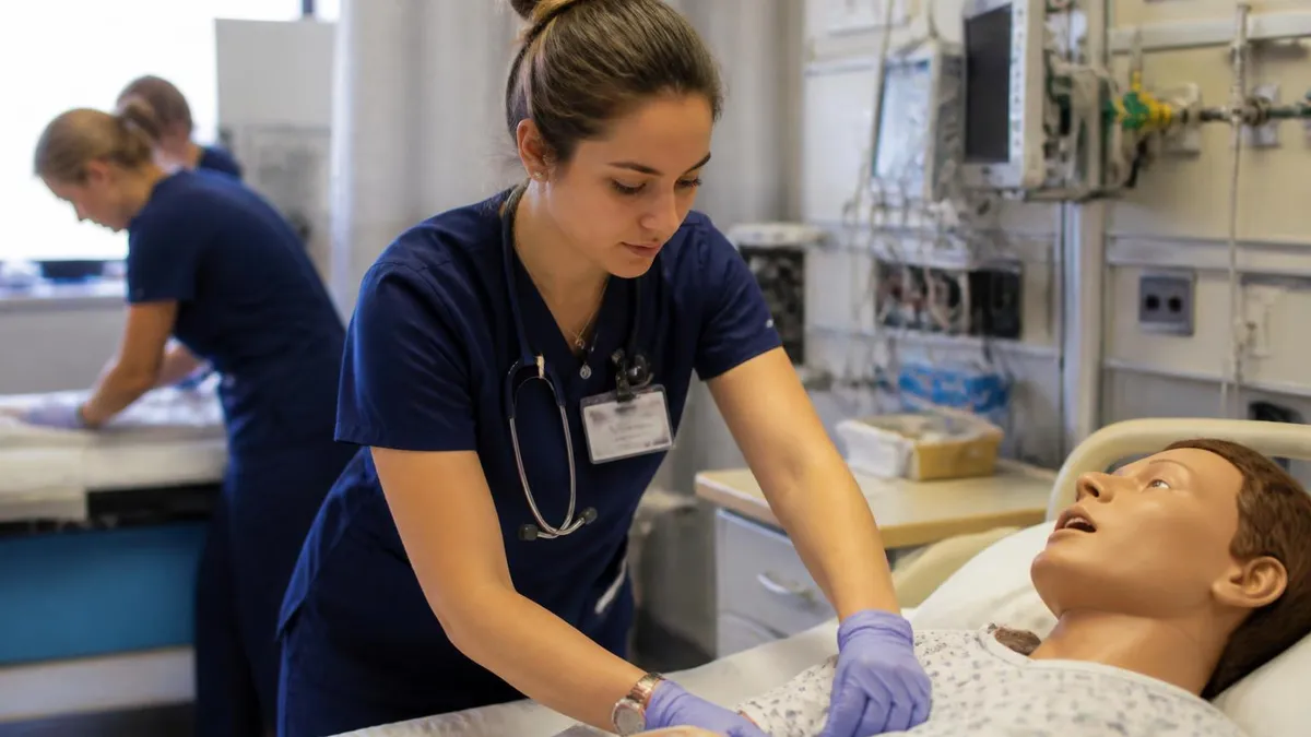 RN to Bsn Meaning - BSN - Degree Bachelor of Science in Nursing certification study resource