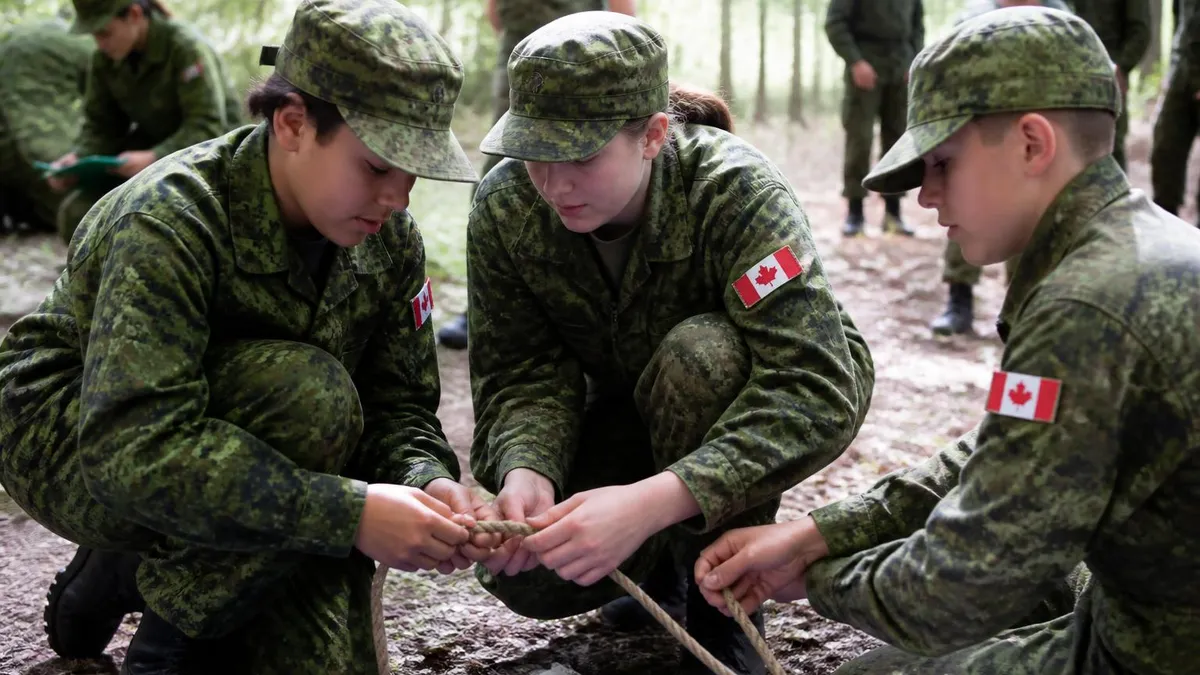 Cub Cadet - CADET - Canadian Armed Forces Aptitude Test certification study resource