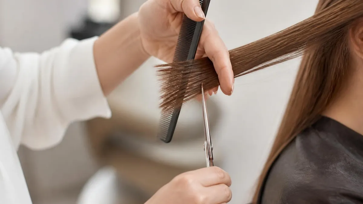 Cosmetology License Lookup at a Glance - Cosmetology certification study resource