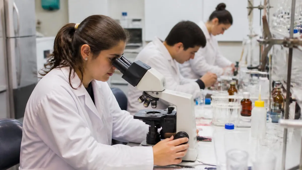 Examenes De Selectividad - Selectividad certification study resource