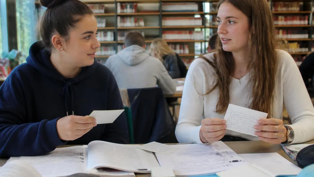 Annales Bac Francais - Bac Annales Entraînement certification study resource