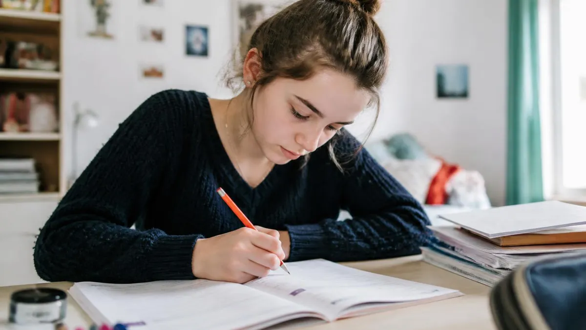 Bac Français Conseils De Révision - Bac de Français certification study resource