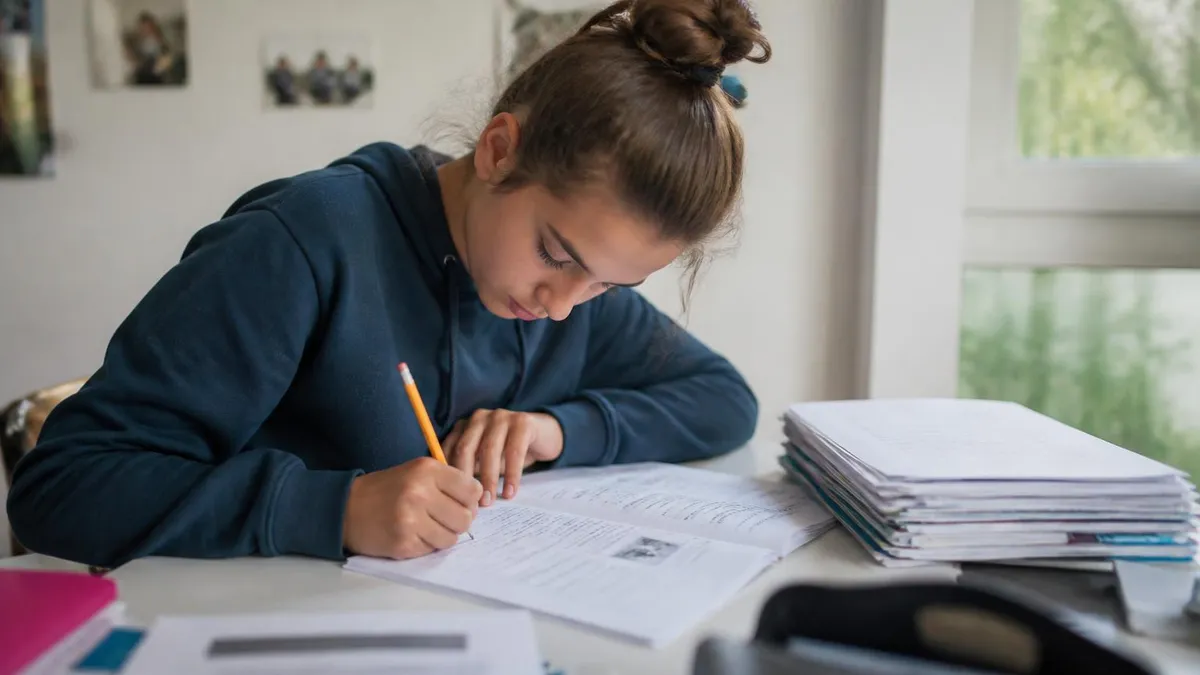 Annales Brevet Francais - Brevet - Annales et Sujets Corrigés du DNB certification study resource