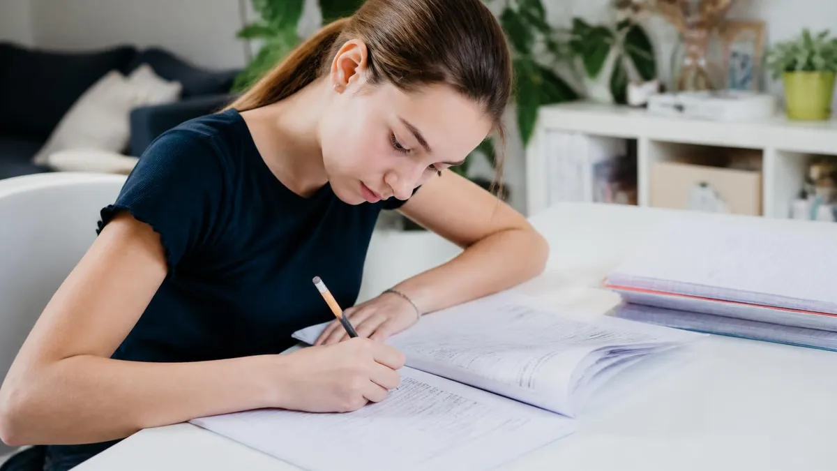 Annales Brevet Histoire - Brevet - Annales et Sujets Corrigés du DNB certification study resource