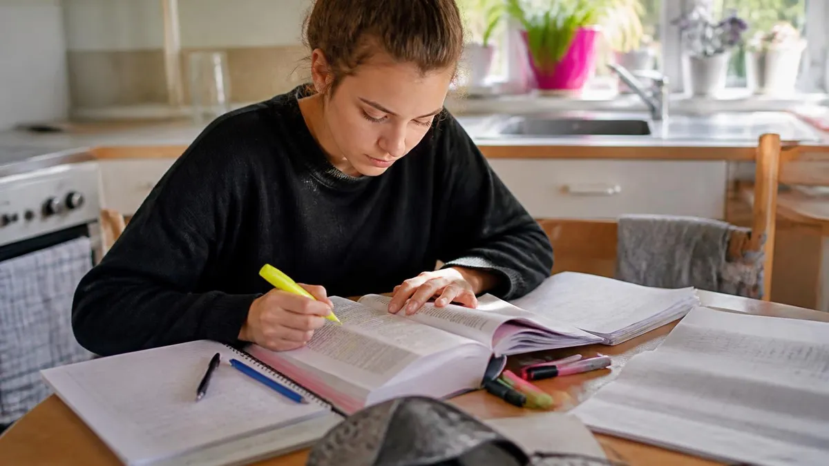 Brevet En Ligne - Brevet - Annales et Sujets Corrigés du DNB certification study resource