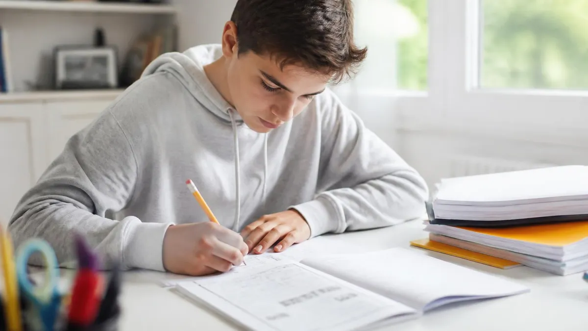 Fiches De Revision Brevet Maths - Brevet - Annales et Sujets Corrigés du DNB certification study resource