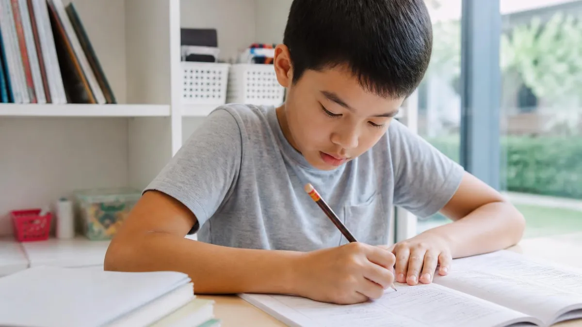 How to Open an ICA File & What ICAS 1 Means for Students 2026 July