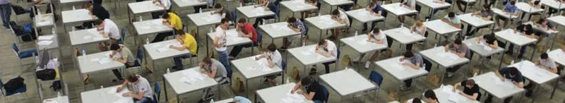 Professional Level Exam Exemption - 3D Texturing study guide