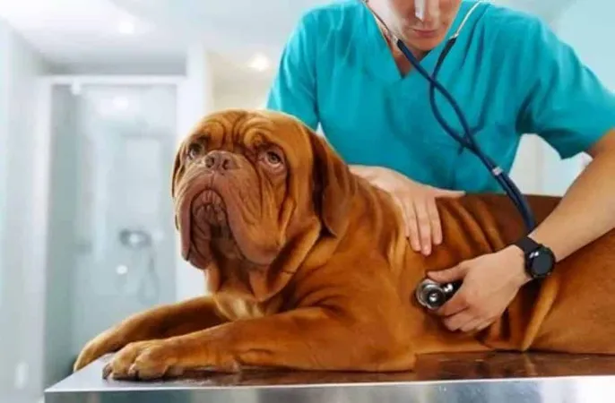 Animal Health 1 1 X - American Association of Veterinary State Boards study guide