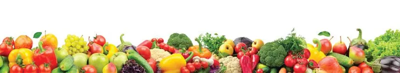 Acbn Nutritionist Exam - Acbn nutritionist exam