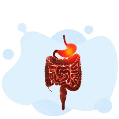 Acg American College Of Gastroenterology - Acg test