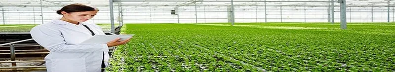 Agricultural Bioengineering - Agricultural bioengineering