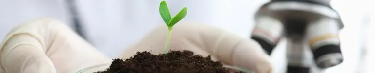Agronomy - Agronomy