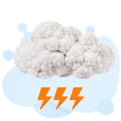 American Meteorological Society Certification