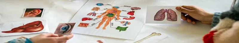 Anatomy Exam - Anatomy Exam study guide