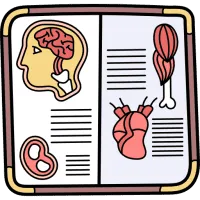 Book Qdpcpabjn9x9wtdotqzmcvn6y4wg0pre6t3zqvk - Anatomy Exam study guide