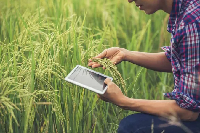 Farmer Standing Rice Field With Tablet X - Accredited Rural Appraiser study guide