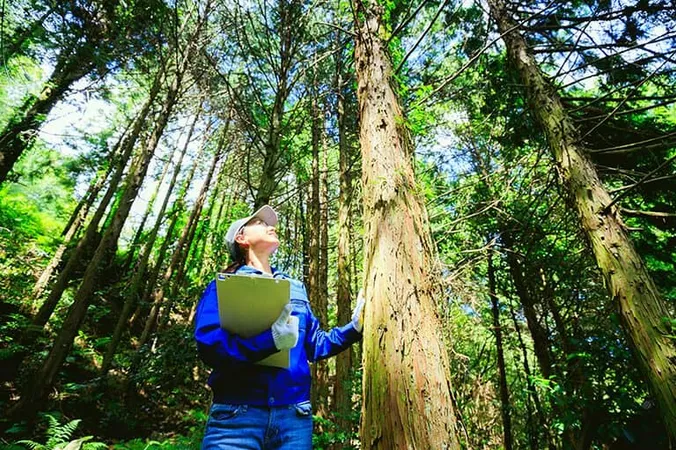Bf Jobs - B.F. Bachelor of Forestry study guide