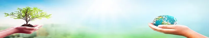 B S F Or B Sc F Bachelor Of Science In Forestry - B s f or b sc f bachelor of science in forestry