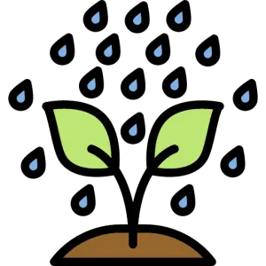 B S F Or B Sc F Bachelor Of Science In Forestry - B s f or b sc f bachelor of science in forestry