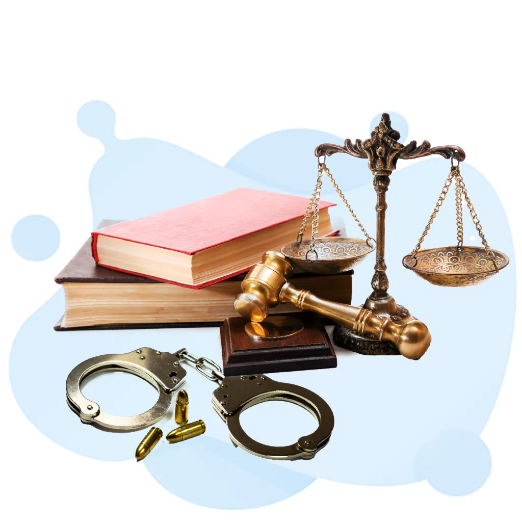 BCJ Bachelor of Criminal Justice