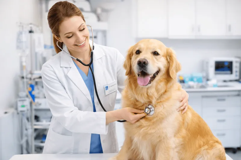 Bcse Basic And Clinical Sciences Examination - Bcse practice test
