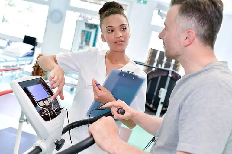 bachelor of kinesiology