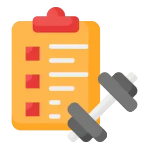 bachelor of kinesiology