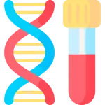 Bhs Bachelor Of Health Science - Bhs bachelor of health science