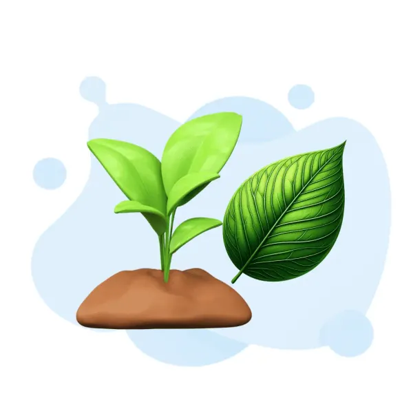 Biointeractive Photosynthesis Biointeractive Test - Biointeractive test