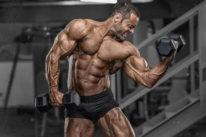 Natural Bodybuilding - Bodybuilding study guide