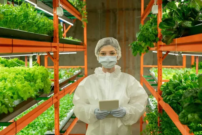 Female Greenhouse Worker Protective Coveralls Mask Gloves Eyeglasses Cap Using Tablet While Looking You Inside Vertical Farm X - Certified Agricultural Consultant study guide