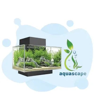 Box V1 Recovered 22 - Certified Aquascape Contractor study guide