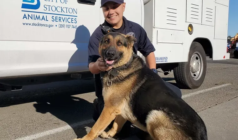 Ba 00fd0ab1cbe0bad61mv2 X - Certified Animal Control Officer study guide