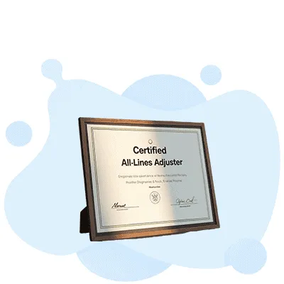How to Become a Certified All-Lines Adjuster: A Complete Career Guide - Certified All-Lines Adjuster preparation guide