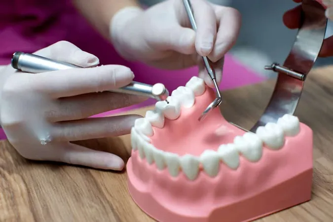 Nurse Practicing Layout Jaw With Teeth X - Certified Dental Ceramist study guide