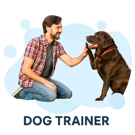 Chatgpt Apr 11 11 48 40 Am - Certified Dog Trainer study guide