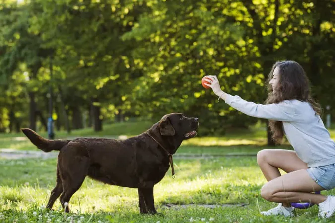 Woman Having Fun With Her Dog Garden X - Certified Dog Trainer study guide