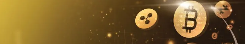 Certified Blockchain And Finance Professional - Certified Blockchain Professional (CBCP) study guide