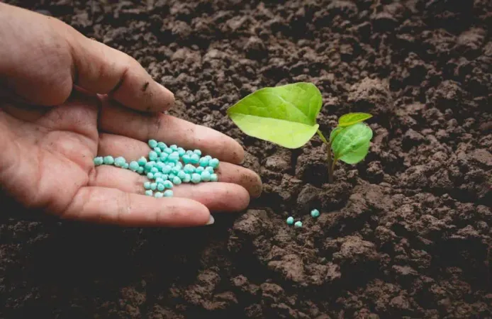 Seedling Concept By Human Hand Apply Fertilizer Young Tree Green Background X - Certified Fertilizer Applicator study guide