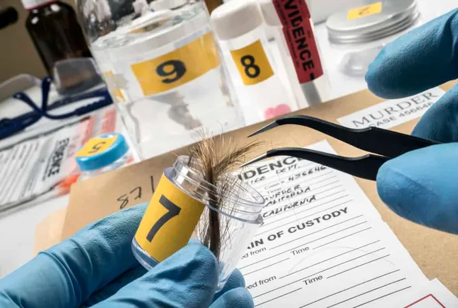 High Angle View Person Reading B 1 - Certified Forensic Nurse study guide