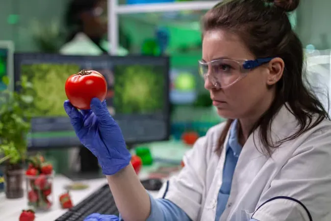 Front View Biologist Reseacher Woman Analyzing Tomato Injected With Chemical Dna X - Certified Food Scientist study guide