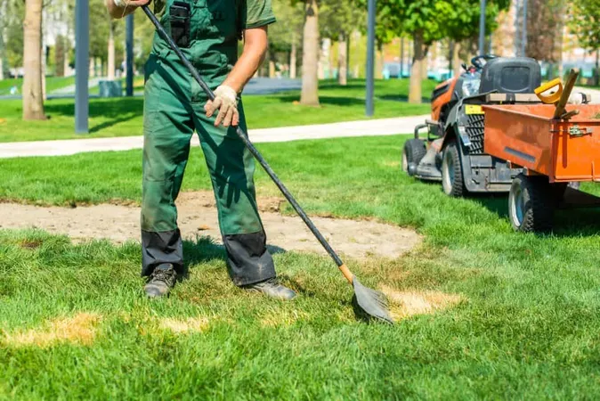 Gardener Works With Lawn Sows Fresh Grass Removes Dead Grass Shovels Rakes Lie Tractor X - Certified Grounds Manager study guide