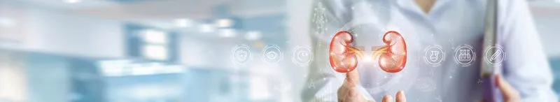 Ches Exam Requirements 1 - CHES Test study guide