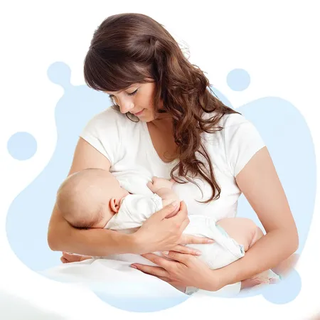 Box V4 Copy 2 2 - Certified Lactation Counselor study guide